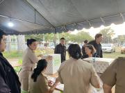 61529075115238228664132193304031560405355486n