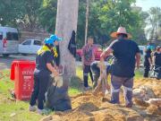 64343689615681265719828486180339819042564519n